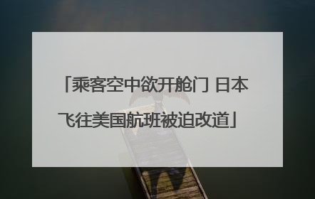乘客空中欲开舱门 日本飞往美国航班被迫改道