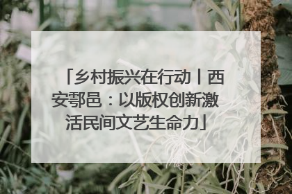 乡村振兴在行动丨西安鄠邑：以版权创新激活民间文艺生命力