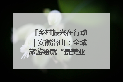 乡村振兴在行动｜安徽潜山：全域旅游绘就“景美业兴民富”新画卷