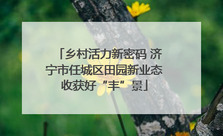 乡村活力新密码 济宁市任城区田园新业态收获好“丰”景