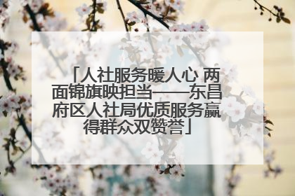 人社服务暖人心 两面锦旗映担当——东昌府区人社局优质服务赢得群众双赞誉
