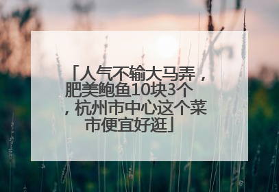 人气不输大马弄，肥美鲍鱼10块3个，杭州市中心这个菜市便宜好逛