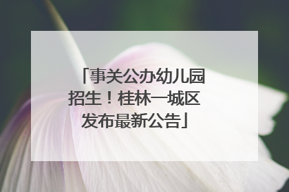 事关公办幼儿园招生！桂林一城区发布最新公告