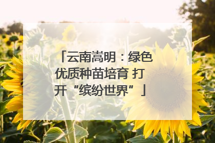 云南嵩明：绿色优质种苗培育 打开“缤纷世界”