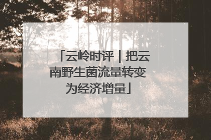 云岭时评｜把云南野生菌流量转变为经济增量