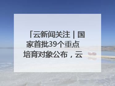 云新闻关注｜国家首批39个重点培育对象公布，云南有3个