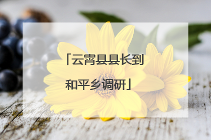 云霄县县长到和平乡调研