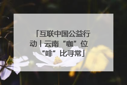 互联中国公益行动丨云南“咖”位“啡”比寻常