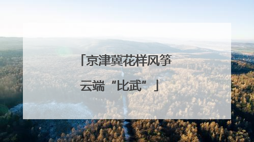 京津冀花样风筝云端“比武”