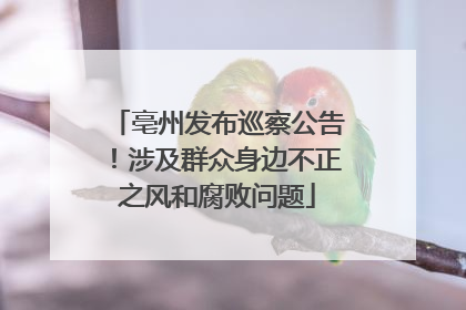 亳州发布巡察公告！涉及群众身边不正之风和腐败问题