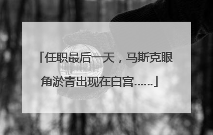 任职最后一天，马斯克眼角淤青出现在白宫……