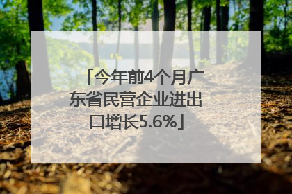 今年前4个月广东省民营企业进出口增长5.6%