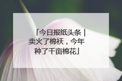 今日报纸头条｜卖火了棉袄，今年种了千亩棉花
