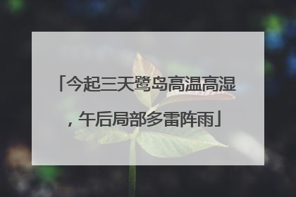 今起三天鹭岛高温高湿，午后局部多雷阵雨