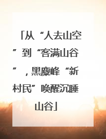 从“人去山空”到“客满山谷”，黑麋峰“新村民”唤醒沉睡山谷