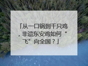 从一口锅到千只鸡，非遗东安鸡如何“飞”向全国？