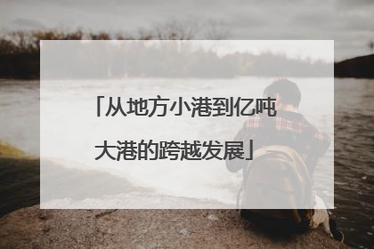 从地方小港到亿吨大港的跨越发展