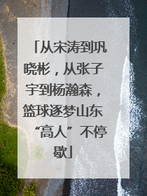 从宋涛到巩晓彬，从张子宇到杨瀚森，篮球逐梦山东“高人”不停歇