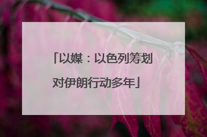 以媒：以色列筹划对伊朗行动多年