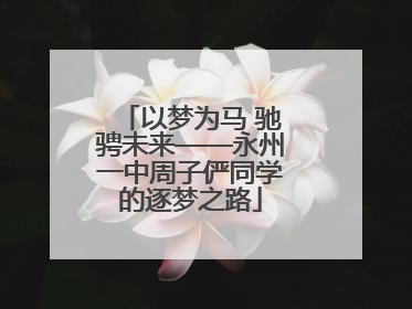 以梦为马 驰骋未来——永州一中周子俨同学的逐梦之路