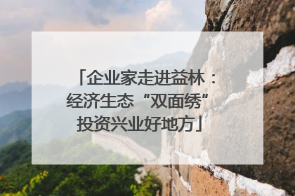 企业家走进益林：经济生态“双面绣” 投资兴业好地方