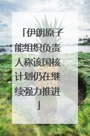伊朗原子能组织负责人称该国核计划仍在继续强力推进