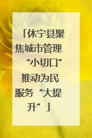 休宁县聚焦城市管理“小切口” 推动为民服务“大提升”