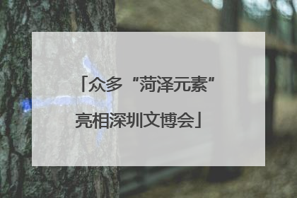 众多“菏泽元素”亮相深圳文博会