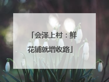 会泽上村：鲜花铺就增收路