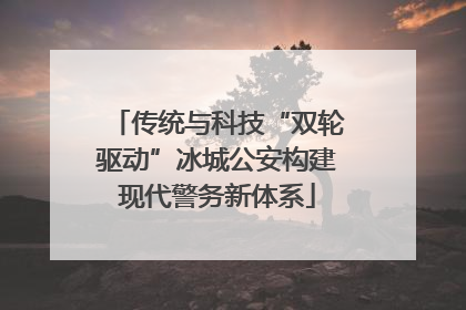 传统与科技“双轮驱动”冰城公安构建现代警务新体系