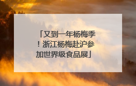 又到一年杨梅季！浙江杨梅赴沪参加世界级食品展