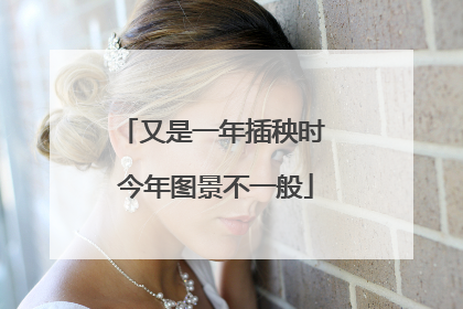 又是一年插秧时 今年图景不一般