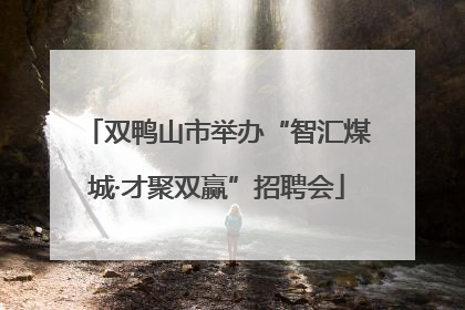 双鸭山市举办“智汇煤城·才聚双赢”招聘会