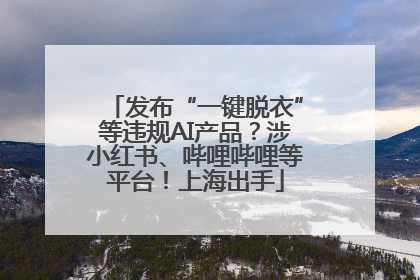 发布“一键脱衣”等违规AI产品？涉小红书、哔哩哔哩等平台！上海出手