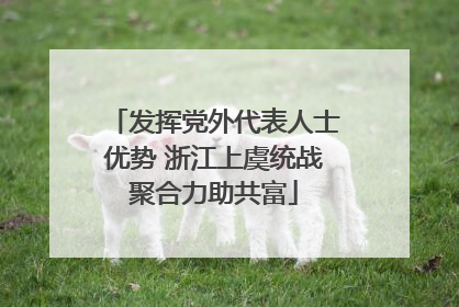发挥党外代表人士优势 浙江上虞统战聚合力助共富