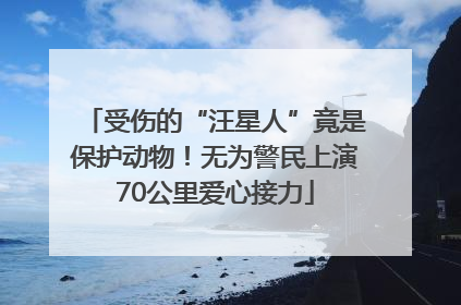 受伤的“汪星人”竟是保护动物！无为警民上演70公里爱心接力