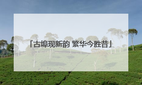 古埠现新韵 繁华今胜昔