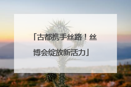 古都携手丝路！丝博会绽放新活力