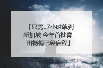 只需17小时就到新加坡 今年首批青田杨梅已经启程