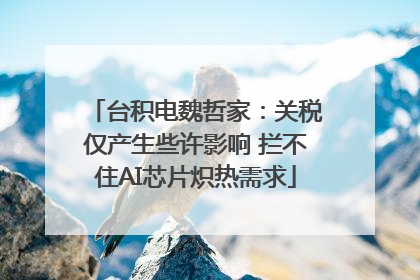 台积电魏哲家：关税仅产生些许影响 拦不住AI芯片炽热需求