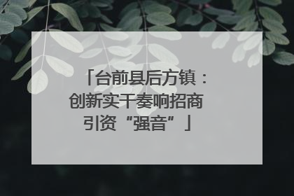 台前县后方镇：创新实干奏响招商引资“强音”