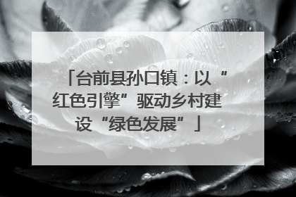 台前县孙口镇：以“红色引擎”驱动乡村建设“绿色发展”