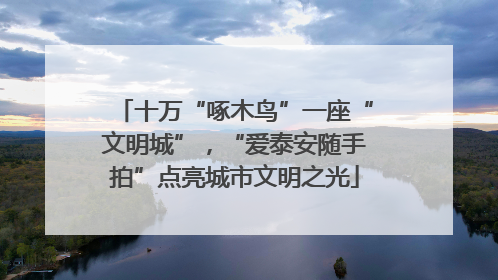 十万“啄木鸟”一座“文明城”，“爱泰安随手拍”点亮城市文明之光