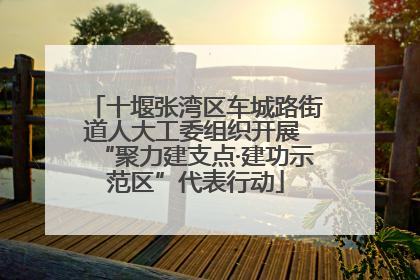 十堰张湾区车城路街道人大工委组织开展 “聚力建支点·建功示范区”代表行动
