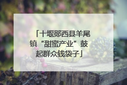 十堰郧西县羊尾镇“甜蜜产业”鼓起群众钱袋子