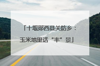 十堰郧西县关防乡：玉米地里话“丰”景