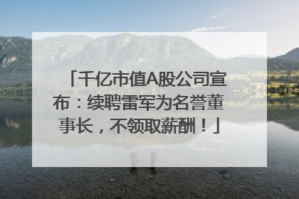 千亿市值A股公司宣布：续聘雷军为名誉董事长，不领取薪酬！