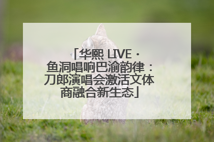 华熙 LIVE・鱼洞唱响巴渝韵律：刀郎演唱会激活文体商融合新生态