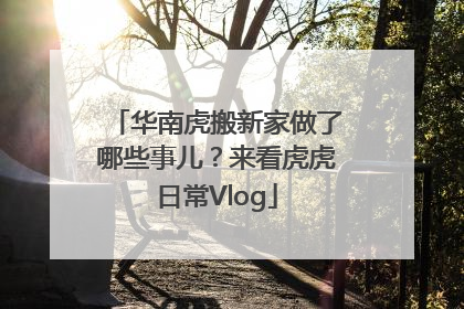 华南虎搬新家做了哪些事儿？来看虎虎日常Vlog