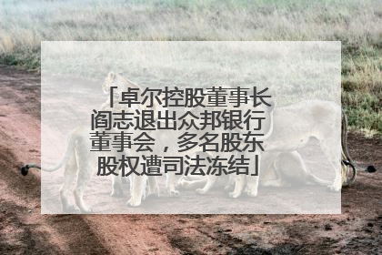 卓尔控股董事长阎志退出众邦银行董事会，多名股东股权遭司法冻结